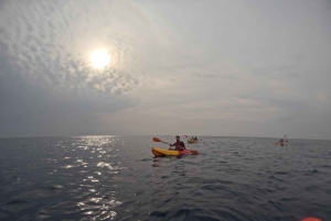 Los Cristianos : Sunset Kayak Safari with Cave & Wildlife