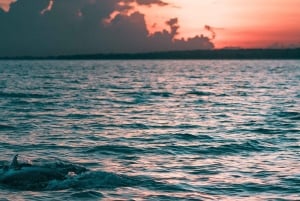 Los Cristianos : Sunset Kayak Safari with Cave & Wildlife