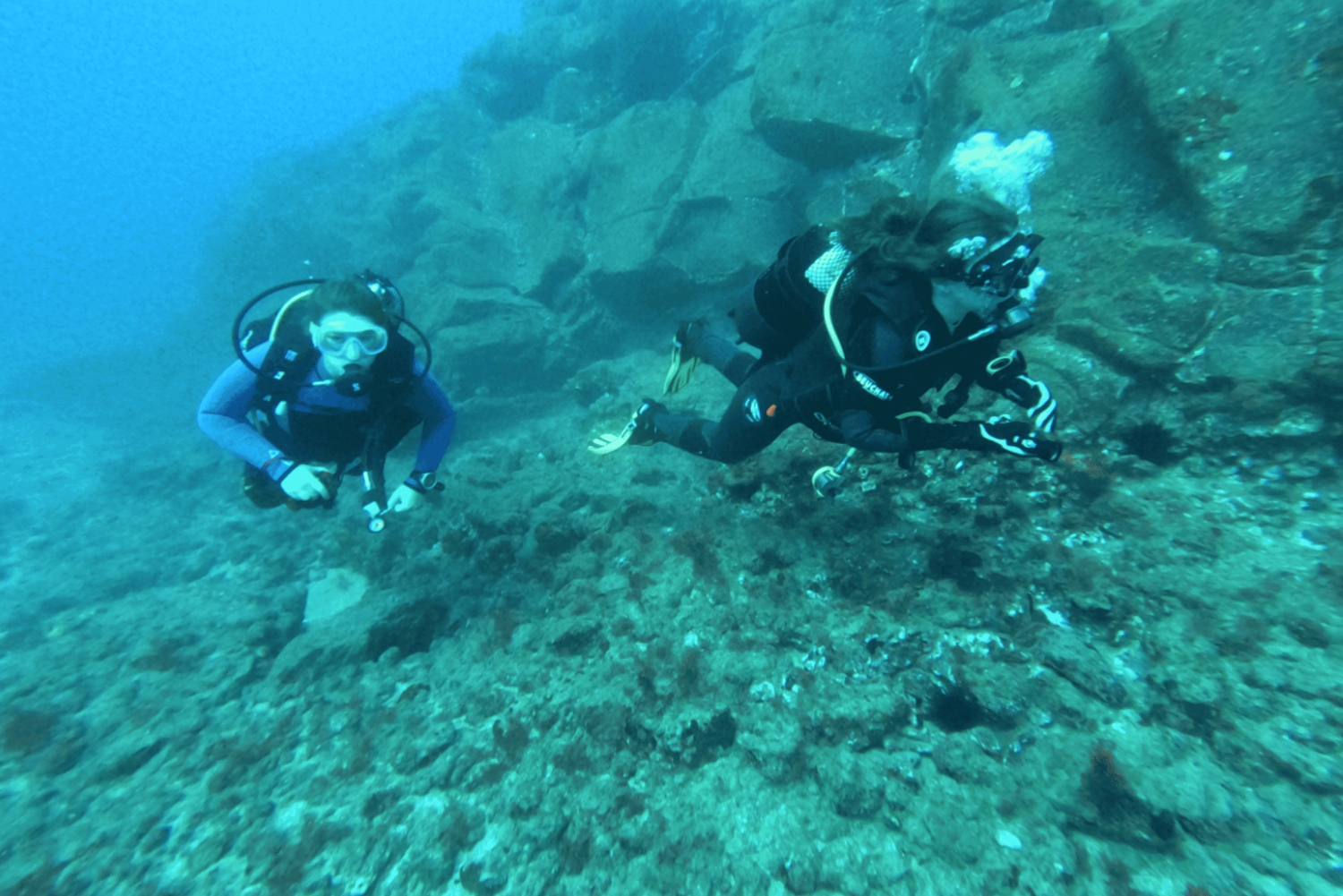 Лос Кристианос: попробуйте дайвинг для начинающих