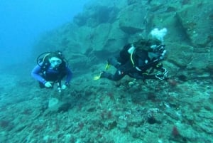 Los Cristianos: Try Dive for beginners