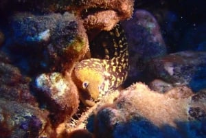 Los Cristianos: Try Dive for beginners