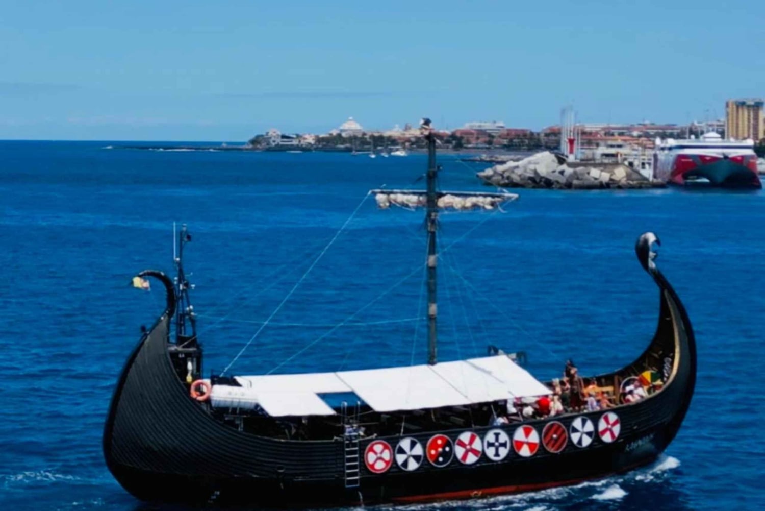 Los Cristianos: Whale Watching Cruise w/Swim Stop & Drinks