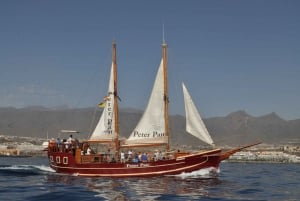 Los Cristianos: Whale-Watching Sailboat Tour 3 hrs and food.