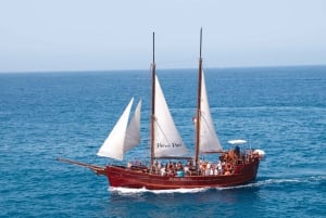 Los Cristianos: Whale-Watching Sailboat Tour 3 hrs and food.