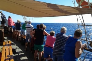 Los Cristianos: Whale-Watching Sailboat Tour 3 hrs and food.