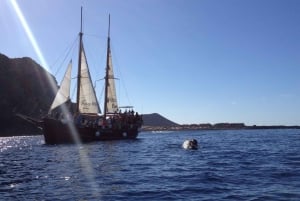 Los Cristianos: Whale-Watching Sailboat Tour 3 hrs and food.