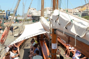 Los Cristianos: Whale-Watching Sailboat Tour 3 hrs and food.