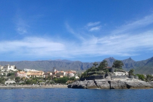 Los Cristianos: Whale-Watching Sailboat Tour 3 hrs and food.