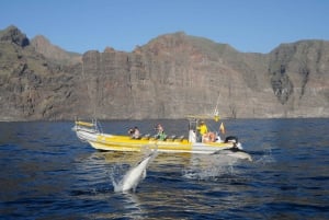 Los Gigantes: Excursión en lancha rápida para avistar delfines y ballenas