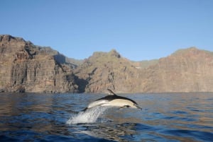 Los Gigantes: Excursión de avistamiento de delfines y ballenas con bebidas