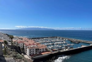 Los Gigantes: Tour privado en velero con baño, bebida y tapas