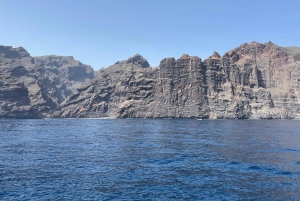 Los Gigantes : Visite privée avec baignade, boissons et tapas