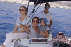 Los Gigantes : Visite privée avec baignade, boissons et tapas