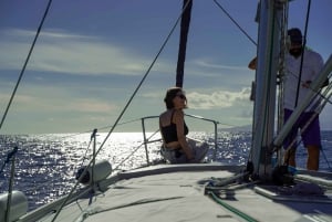 Los Gigantes: Sailing Excursion with Swimming, Drink & Tapas