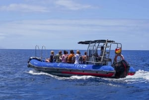 Los Gigantes to Teno: Boat trip with snorkeling & drinks