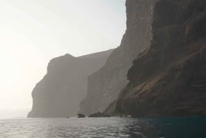 Los Gigantes to Teno: Boat trip with snorkeling & drinks