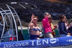 Los Gigantes to Teno: Boat trip with snorkeling & drinks