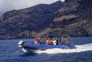 Los Gigantes to Teno: Boat trip with snorkeling & drinks