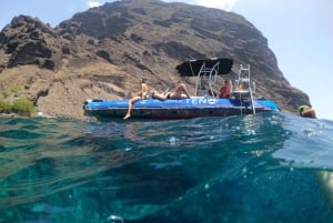Da Los Gigantes a Teno: Gita in barca con snorkeling e bevande