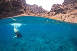 Da Los Gigantes a Teno: Gita in barca con snorkeling e bevande