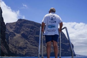Da Los Gigantes a Teno: Gita in barca con snorkeling e bevande