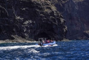 Da Los Gigantes a Teno: Gita in barca con snorkeling e bevande