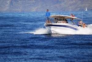 Los Gigantes: Whale-watching cruise or dolphin tour and swimming in Masca