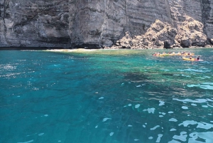 Los Gigantes : Whales and Dolphin Watching Cruise with Lunch