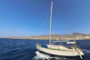 Luxuriöse Bootsausflüge von Puerto Colon, Teneriffa