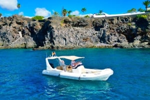 Marine EcoSafari: Whale Watching in a Luxury Zodiac with Hydrophone