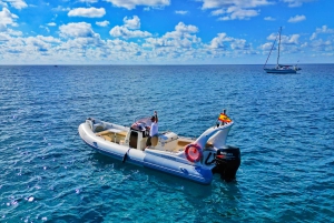 Marine EcoSafari: Whale Watching in a Luxury Zodiac with Hydrophone