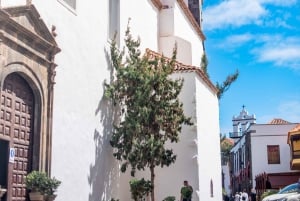 Masca - Garachico - Teide discovery walks