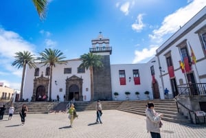 Masca - Garachico - Teide discovery walks