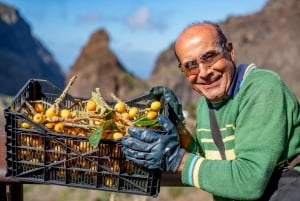 Masca - Garachico - Teide discovery walks