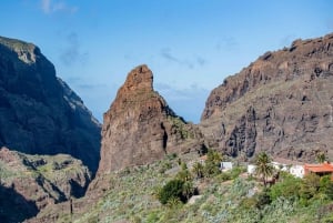 Masca - Garachico - Teide discovery walks