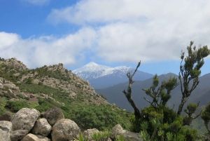  Masca Tour and Teno Mountains & Punta de Teno Hike