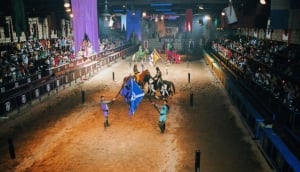 Best Things To Do with Kids in Tenerife
