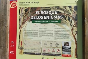 Puerto de la Cruz: Avatar forest -Taganana-Teresitas+coctail