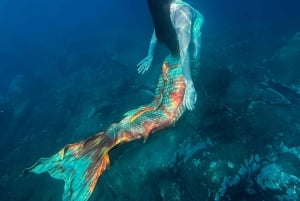 Experiencia de sirena y sesión fotográfica, incluyendo maquillaje.