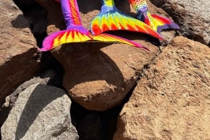 Experiencia de sirena y sesión fotográfica, incluyendo maquillaje.