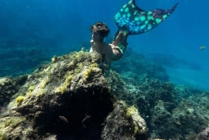 Experiencia de sirena y sesión fotográfica, incluyendo maquillaje.