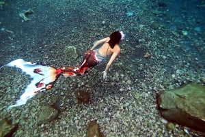 Experiencia de sirena y sesión fotográfica, incluyendo maquillaje.