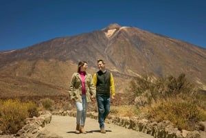 Der Berg Teide: Tagestour zum Vulkan Teide ohne Seilbahn