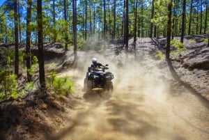 From Costa Adeje: Mount Teide Forest Off-Road Quad Bike Tour