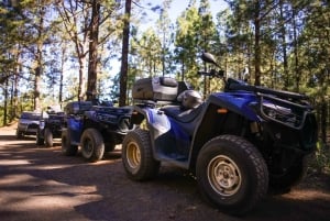 From Costa Adeje: Mount Teide Forest Off-Road Quad Bike Tour