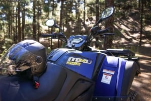 From Costa Adeje: Mount Teide Forest Off-Road Quad Bike Tour