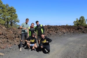 From Costa Adeje: Mount Teide Forest Off-Road Quad Bike Tour