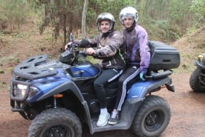 From Costa Adeje: Mount Teide Forest Off-Road Quad Bike Tour