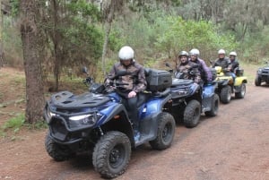 From Costa Adeje: Mount Teide Forest Off-Road Quad Bike Tour