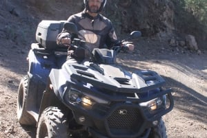 From Costa Adeje: Mount Teide Forest Off-Road Quad Bike Tour